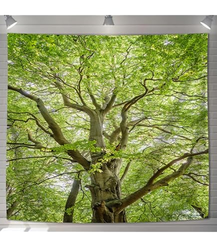 Amazon.co.jp: 金色ラブリッチェ golden time 城ヶ崎絢華